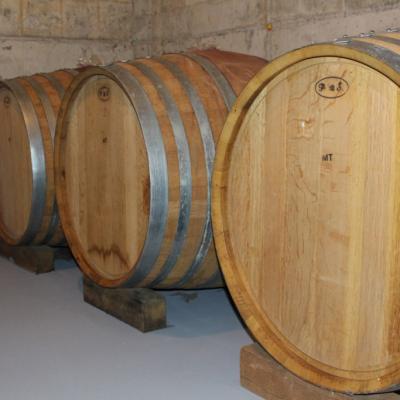 Vino Matic Podrum 1