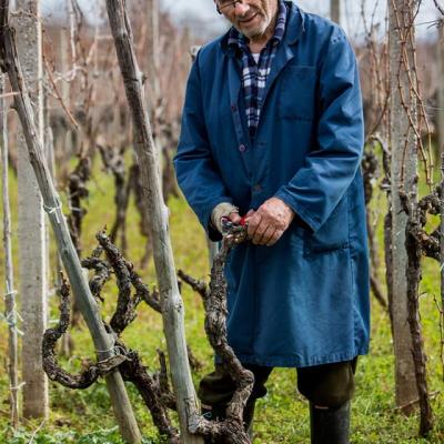 Vino Matic Slike 3